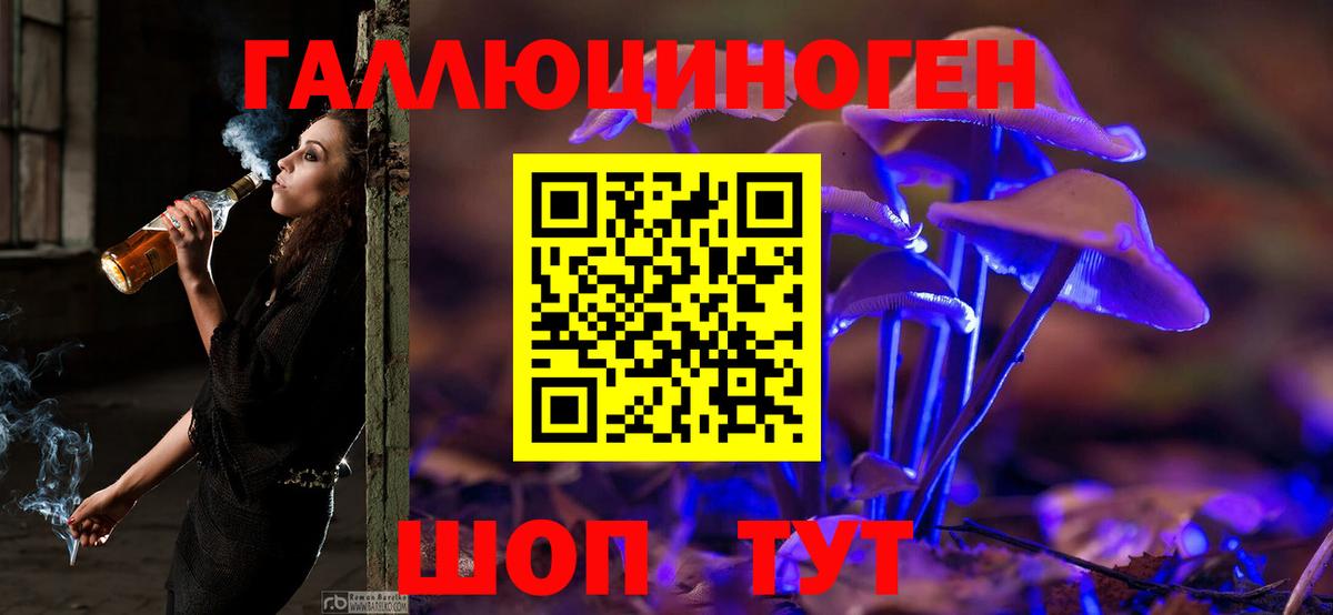 Псилоцибиновые грибы мицелий  Вход с VPN  Мурино 